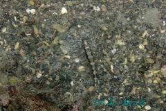 P7300422