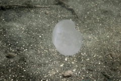 P7300430