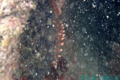 P7300435
