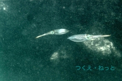 P7300450